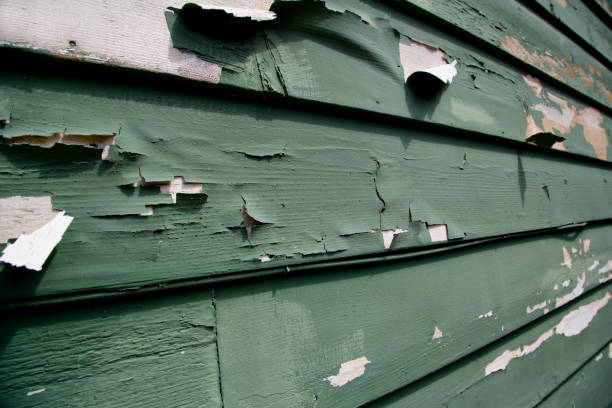 Best Residential Vinyl Siding Installation  in Bessemer, MI